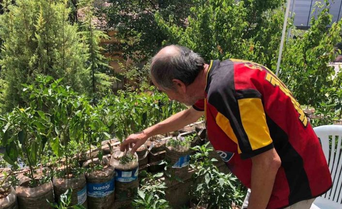 Eskişehirli esnaf iş yerinin balkonunu bahçeye çevirdi