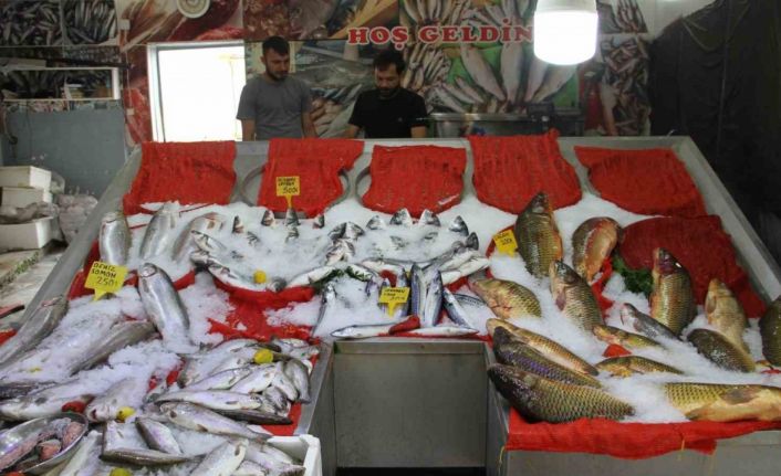 Esnafta ‘balık sezonu’ hazırlığı