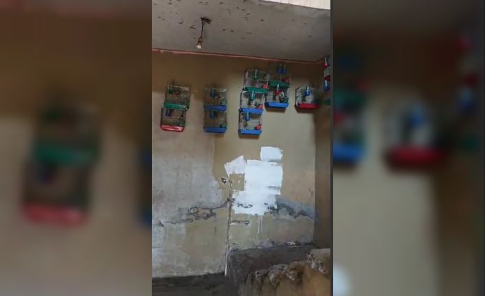 Evinde saka kuşu bulunan şahsa 151 bin 200 lira para cezası