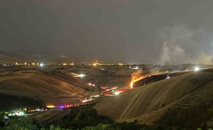 Eymir Gölü yakınlarındaki ormanlık alanda yangın çıktı