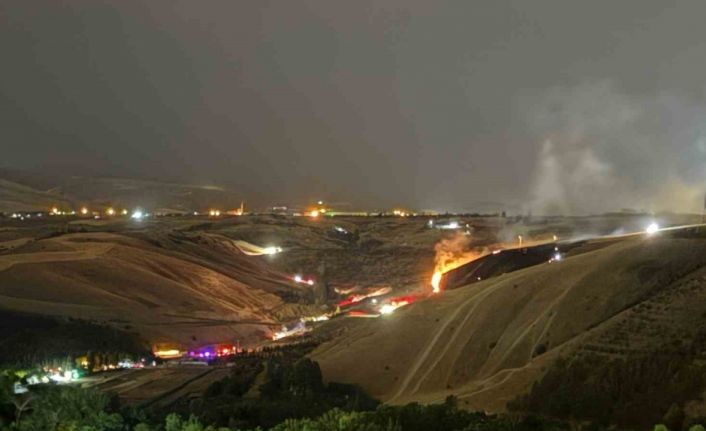 Eymir Gölü yakınlarındaki otluk alanda çıkan yangın söndürüldü