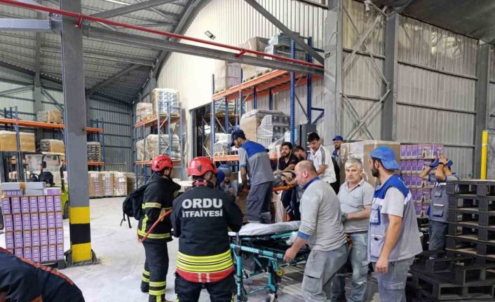 Fabrikada palet makinesine sıkışan işçi ağır yaralandı