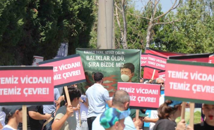 Fabrikaların dereye bıraktığı atıklara tepki için yürüdüler