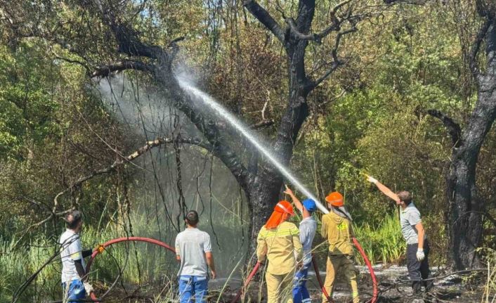 Fethiye Akmaz Plajı’nda çıkan yangın kontrol altına alındı