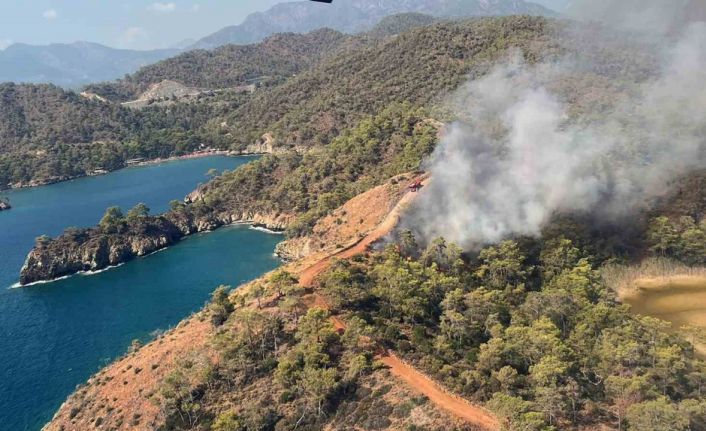 Fethiye’de orman yangını
