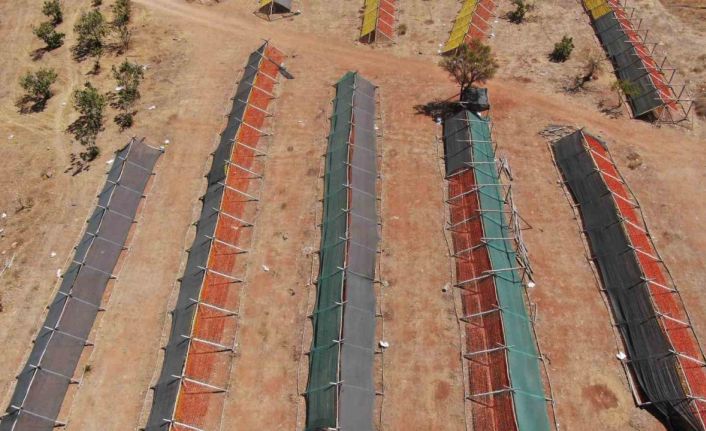 Gastronomi kentinde güneşe bırakılan kurutmalıklar eşsiz görüntüler oluşturuyor