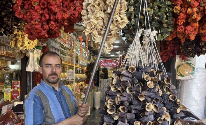 Gaziantep’te yeni mahsul kurutmalıklar tezgahlarda