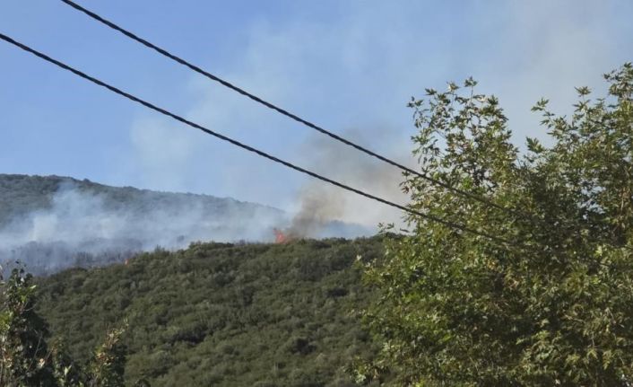 Gedelek yangını ile ilgili 1 kişi gözaltına alındı