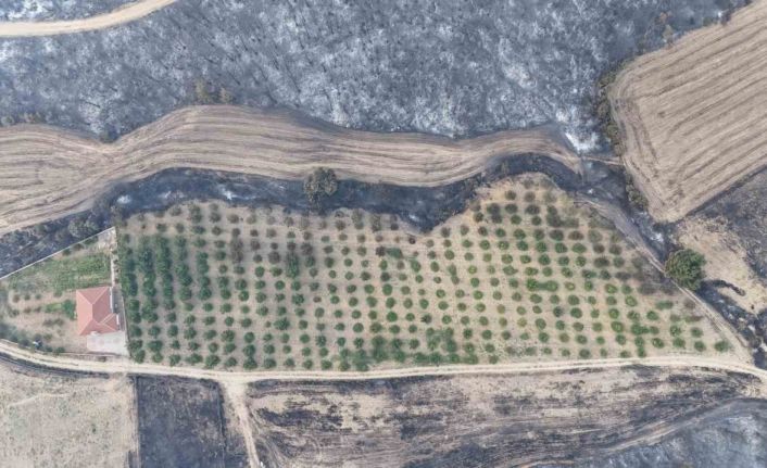 Gelibolu yangınında herkesin yüreğini ferahlatan görüntü