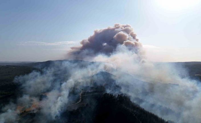 Gelibolu’da çıkan orman yangını dron ile görüntülendi