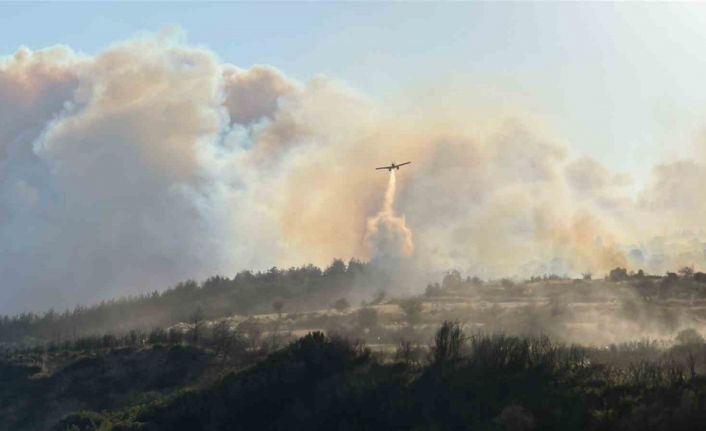 Gelibolu’da çıkan orman yangınında Yolağzı köyü tedbiren tahliye ediliyor