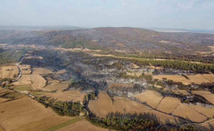 Gelibolu’da çıkan orman yangınının verdiği tahribat dron ile görüntülendi
