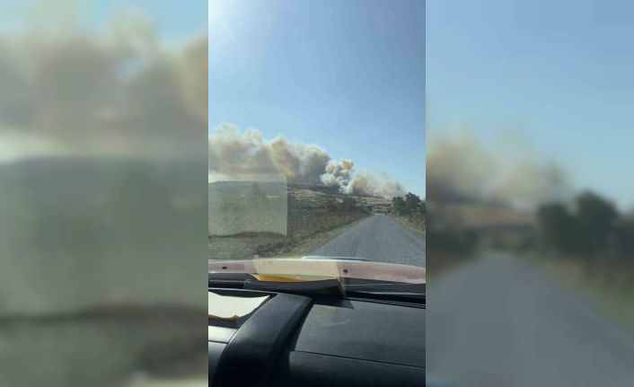 Gelibolu’da orman yangını