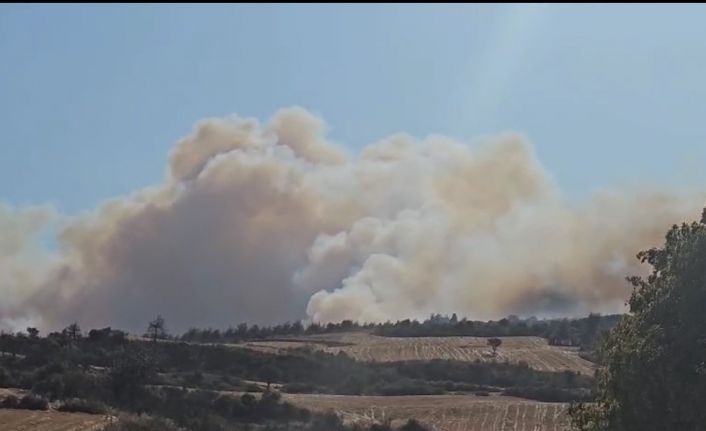 Gelibolu’da orman yangınına havadan ve karadan müdahale ediliyor