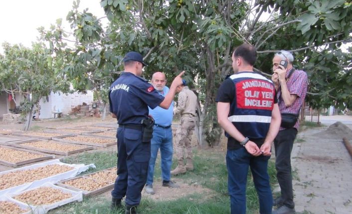 Germencik’te incir hırsızlığına karşı jandarmadan sıkı denetim