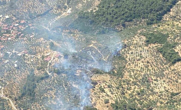 Germencik’te orman yangını
