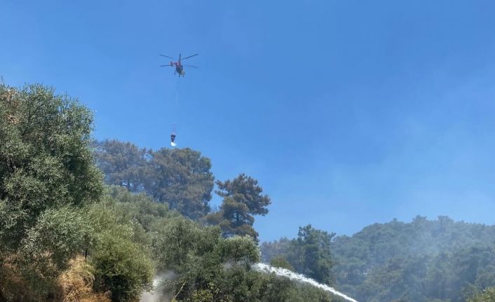 Germencik’teki orman yangını kontrol altına alındı