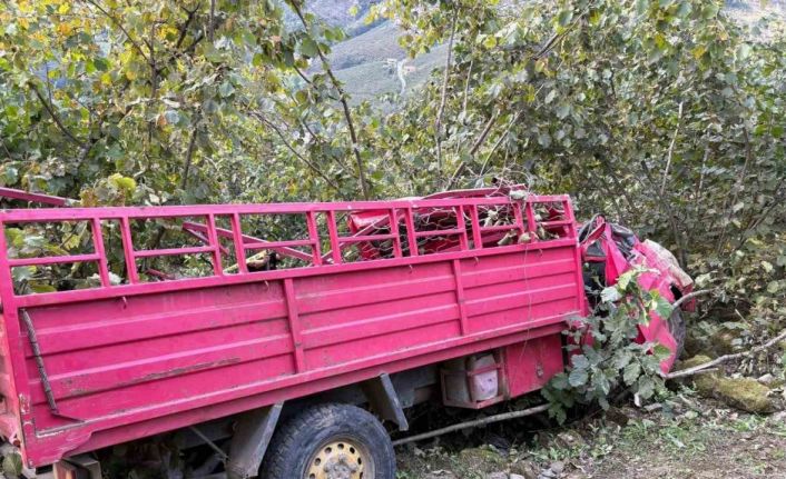 Giresun’da kamyonet fındık bahçesine yuvarlandı: 4 ölü, 1 yaralı