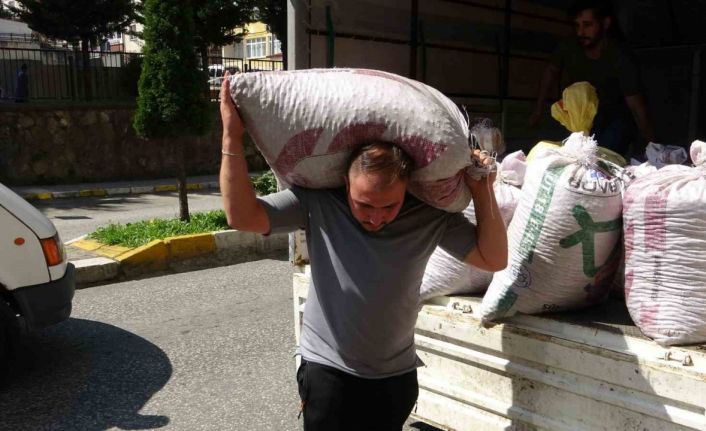 Giresun’da serbest piyasa fındık fiyatı, TMO’nun fiyatlarının üzerine çıktı