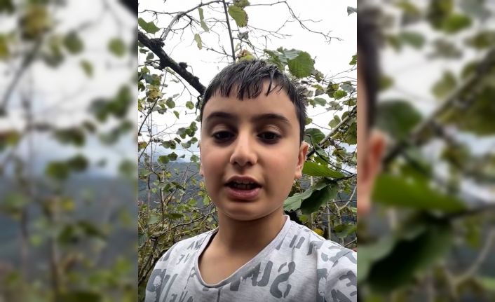 Giresunlu küçük Talha fındığını Gazze için topluyor