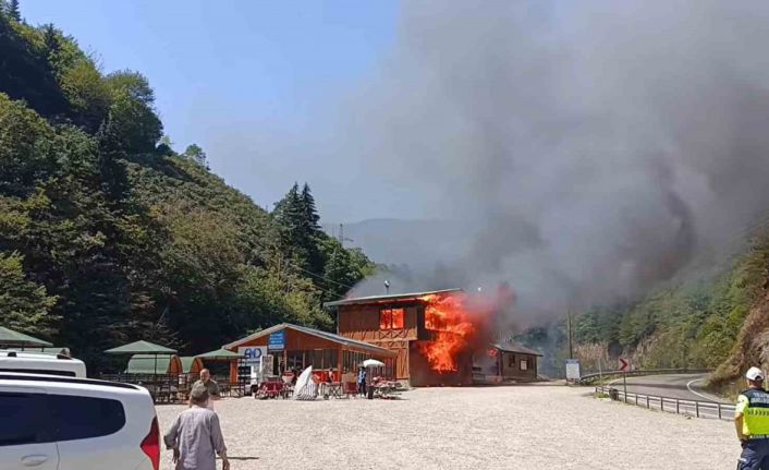 Giresun’un gözde tabiat parkında yangın felaketi