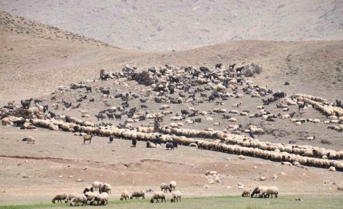 Göçerler yayladan inmeye başladı
