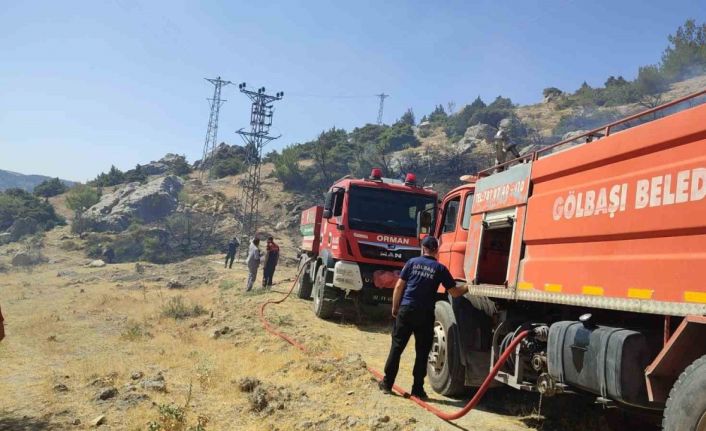 Gölbaşı’nda orman yangını