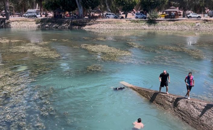 Göle giren çocuk boğuldu, ağabeyinin durumu kritik