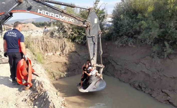 Gölete düşen inekler kepçe ile kurtarıldı