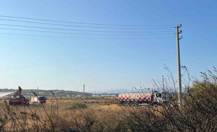 Gömeç yangını kontrol altında