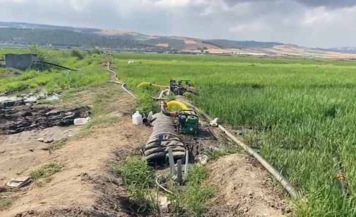 Gönen Ovası’nda çeltik tarlaları susuz kaldı