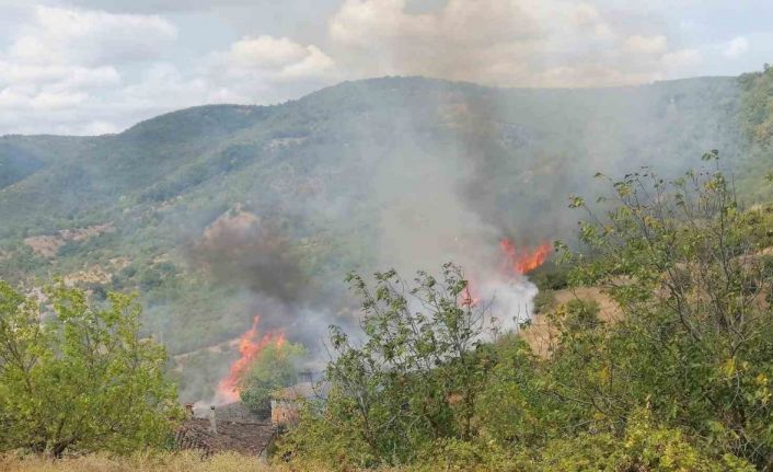 Gönen’de bahçe ve arazi yangını paniğe neden oldu