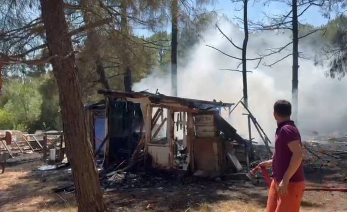 Gönen’de çamlık alanda yangın paniği: Arı kovanları zarar gördü