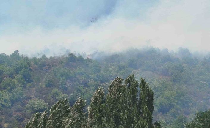 Gümüşhane’de ağaçlık alanda yangın