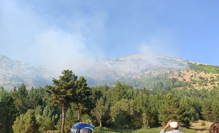 Gümüşhane’de çıkan yangın kontrol altına alındı
