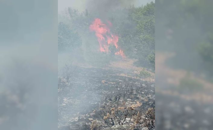 Gümüşhane’de çobanın yaktığı ateş yangına sebep oldu