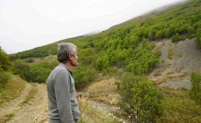 Gümüşhane’de emekli imam kendi imkânlarıyla köyüne 50 bin ağaç dikti