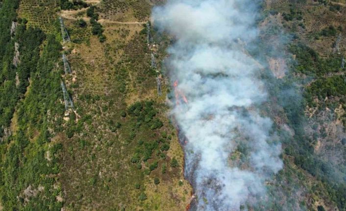 Gümüşhane’deki yangın kontrol altına alındı