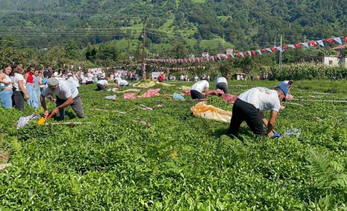 Güneyden Antep’in zılgıtı ve kuzeyden Artvin’in tulum sesi çaylıkta buluştu