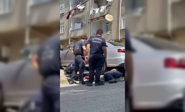 Gurbetçi aileye dönüş zamanı kedi sürprizi