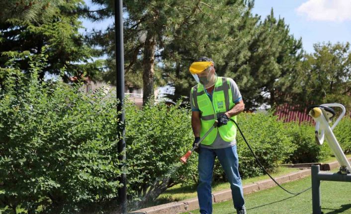 Hacılar’da haşereye karşı etkin mücadele