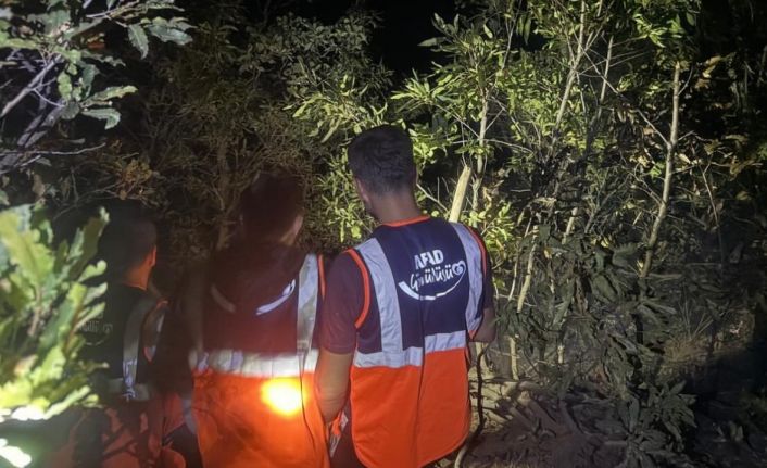 Hakkari’de orman yangını