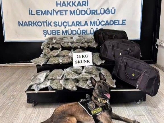 Hakkâri’de kamyonette 26 kilogram skunk ele geçirildi: 1 şüpheli tutuklandı