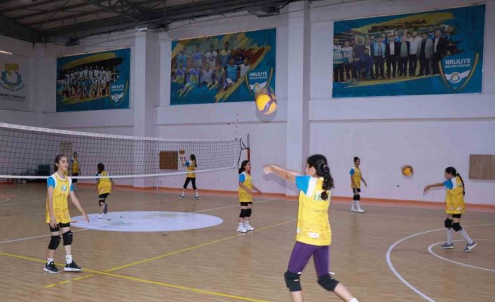 Haliliye Belediyesi voleybolun yıldızlarını keşfediyor