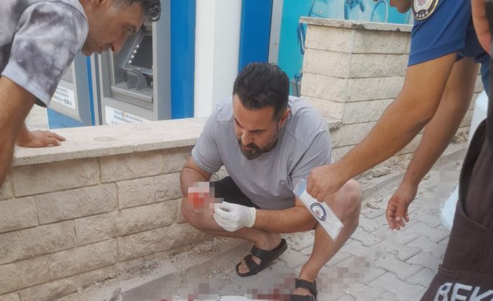 Hamile köpeğe tüfekle saldırı