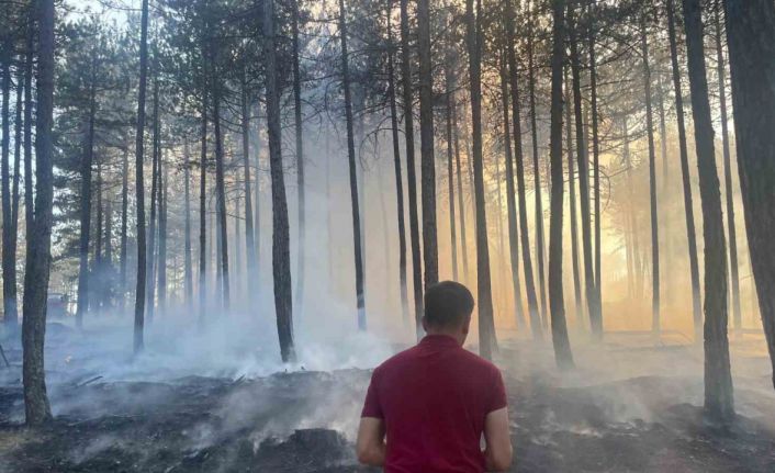 Hanönü’de çıkan orman yangını söndürüldü