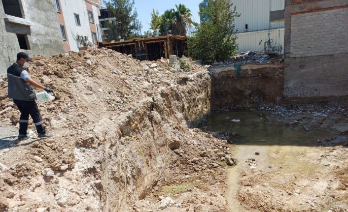 Haşereyle mücadele aralıksız devam ediyor