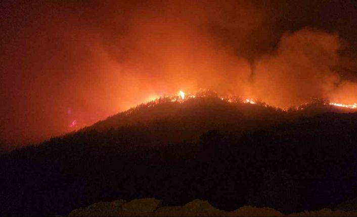 Hassa’da çıkan yangında iki mahallede toplam 540 kişi tahliye edildi