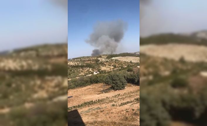 Hatay’da orman yangını