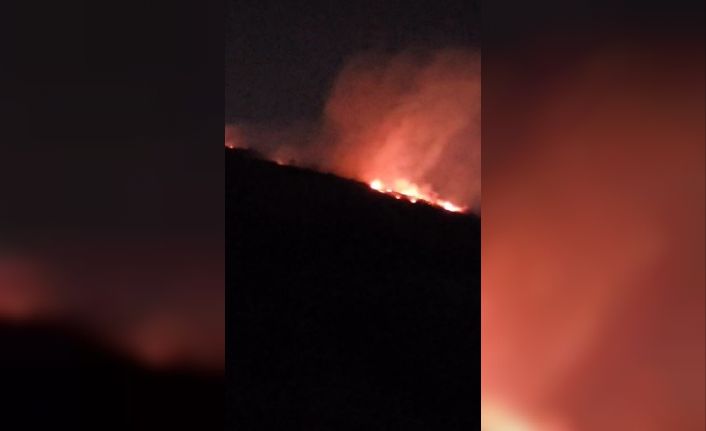 Hatay’da ormanlık alanda çıkan yangın büyümeden söndürüldü